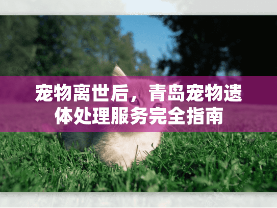 宠物离世后，青岛宠物遗体处理服务完全指南