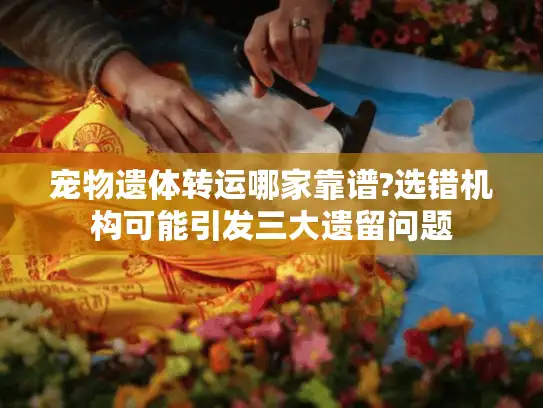 宠物遗体转运哪家靠谱?选错机构可能引发三大遗留问题 宠物遗体转运哪家靠谱?选错机构可能引发三大遗留问题