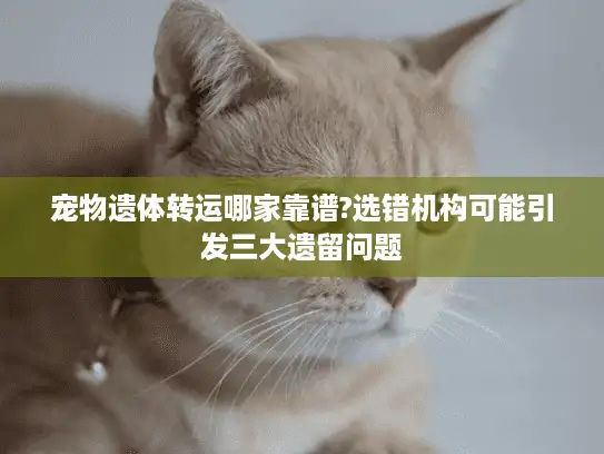 宠物遗体转运哪家靠谱?选错机构可能引发三大遗留问题 宠物遗体转运哪家靠谱?选错机构可能引发三大遗留问题