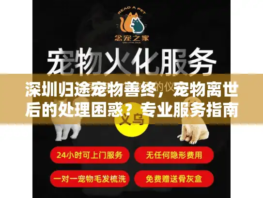 深圳归途宠物善终，宠物离世后的处理困惑？专业服务指南