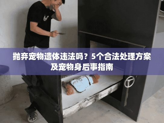 抛弃宠物遗体违法吗？5个合法处理方案及宠物身后事指南