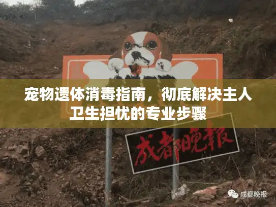 宠物遗体消毒指南,彻底解决主人卫生担忧的专业步骤 宠物遗体消毒指南,彻底解决主人卫生担忧的专业步骤