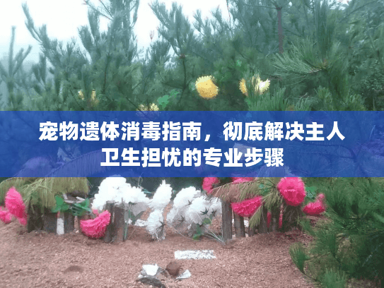 宠物遗体消毒指南,彻底解决主人卫生担忧的专业步骤 宠物遗体消毒指南,彻底解决主人卫生担忧的专业步骤