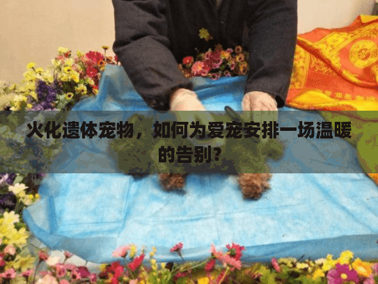 火化遗体宠物，如何为爱宠安排一场温暖的告别？