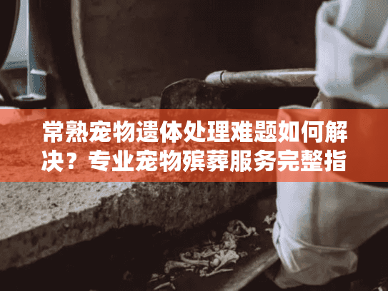 常熟宠物遗体处理难题如何解决？专业宠物殡葬服务完整指南