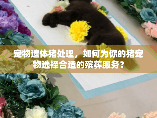 宠物遗体猪处理，如何为你的猪宠物选择合适的殡葬服务？