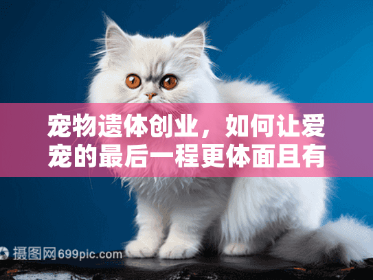 宠物遗体创业，如何让爱宠的最后一程更体面且有仪式感？