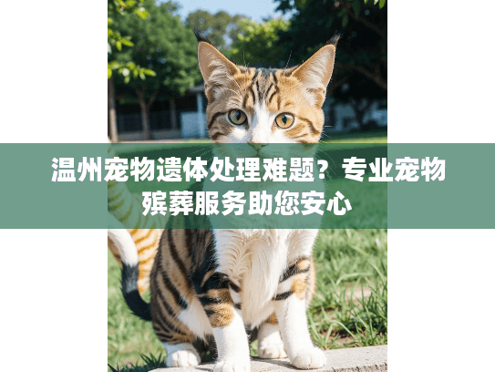 温州宠物遗体处理难题？专业宠物殡葬服务助您安心