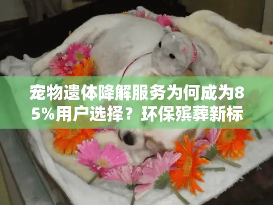 宠物遗体降解服务为何成为85%用户选择？环保殡葬新标准解密！