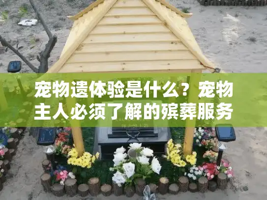 宠物遗体验是什么？宠物主人必须了解的殡葬服务关键环节