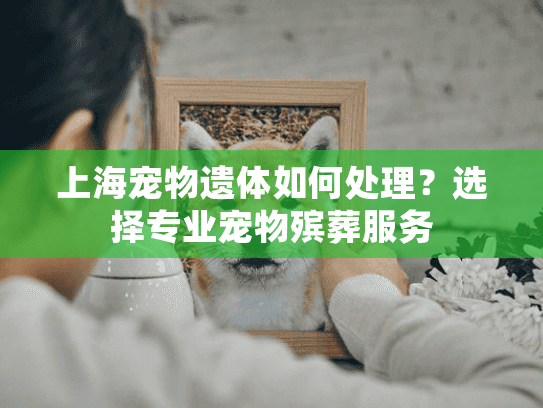 上海宠物遗体如何处理？选择专业宠物殡葬服务