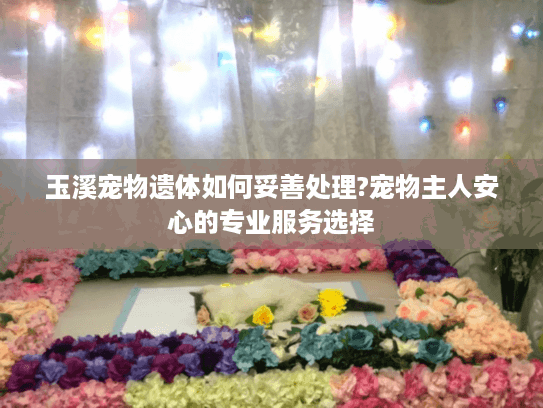 玉溪宠物遗体如何妥善处理?宠物主人安心的专业服务选择