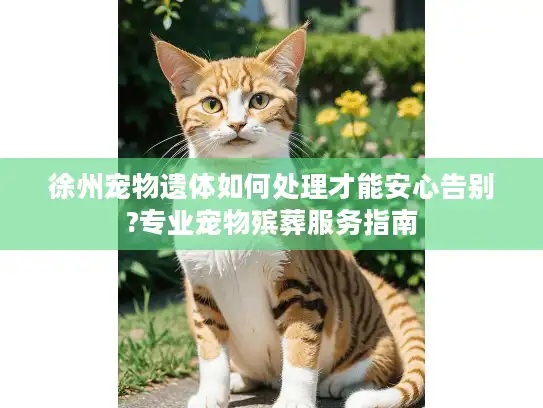 徐州宠物遗体如何处理才能安心告别?专业宠物殡葬服务指南
