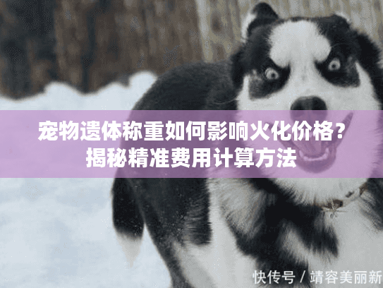 宠物遗体称重如何影响火化价格？揭秘精准费用计算方法