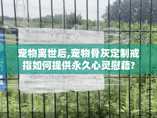 宠物离世后,宠物骨灰定制戒指如何提供永久心灵慰藉?