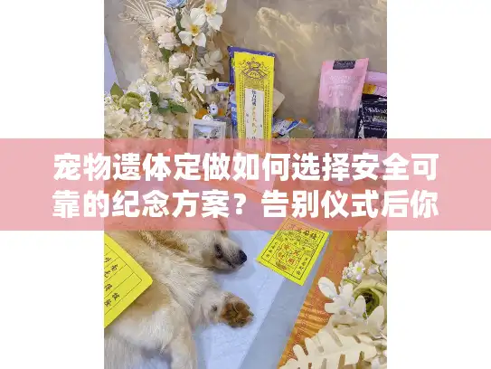 宠物遗体定做如何选择安全可靠的纪念方案？告别仪式后你需要知道这些