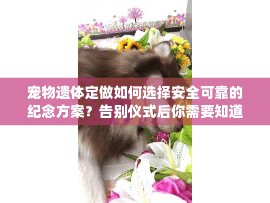 宠物遗体定做如何选择安全可靠的纪念方案？告别仪式后你需要知道这些
