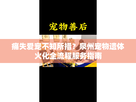 痛失爱宠不知所措？泉州宠物遗体火化全流程服务指南