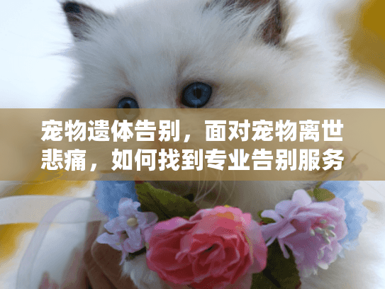 宠物遗体告别，面对宠物离世悲痛，如何找到专业告别服务与情感支持？