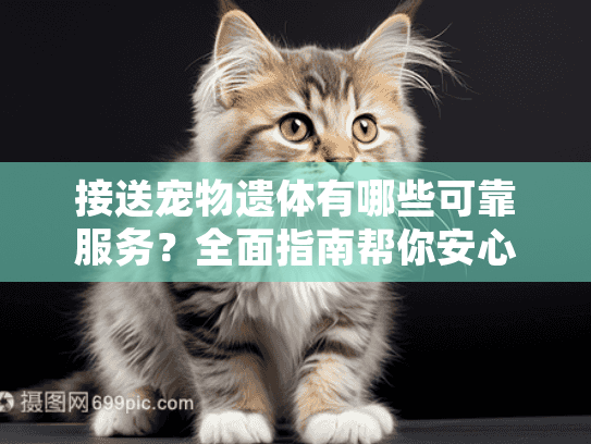 接送宠物遗体有哪些可靠服务？全面指南帮你安心处理