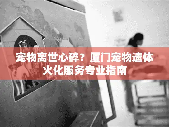 宠物离世心碎？厦门宠物遗体火化服务专业指南