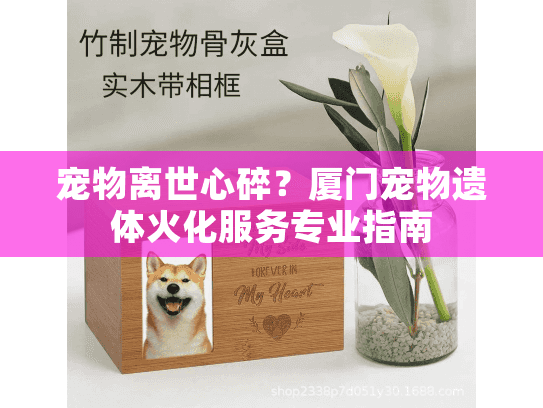 宠物离世心碎？厦门宠物遗体火化服务专业指南