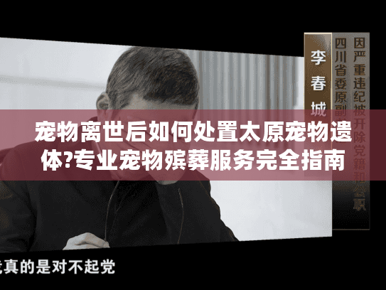 宠物离世后如何处置太原宠物遗体?专业宠物殡葬服务完全指南 宠物离世后如何处置太原宠物遗体?专业宠物殡葬服务完全指南