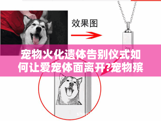 宠物火化遗体告别仪式如何让爱宠体面离开?宠物殡葬服务全解析