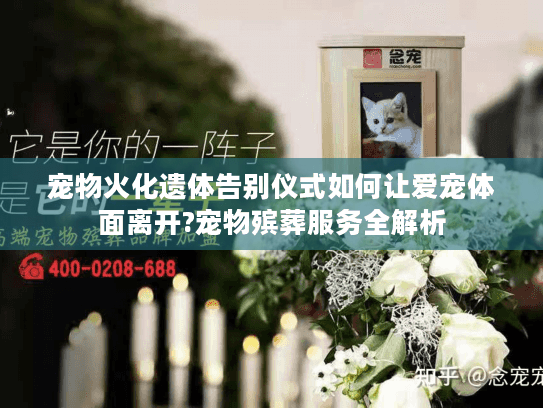 宠物火化遗体告别仪式如何让爱宠体面离开?宠物殡葬服务全解析