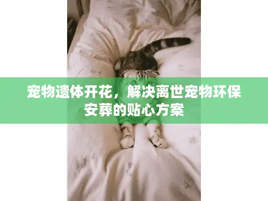 宠物遗体开花,解决离世宠物环保安葬的贴心方案 宠物遗体开花,解决离世宠物环保安葬的贴心方案