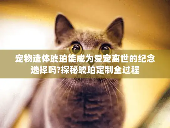 宠物遗体琥珀能成为爱宠离世的纪念选择吗?探秘琥珀定制全过程 宠物遗体琥珀能成为爱宠离世的纪念选择吗?探秘琥珀定制全过程