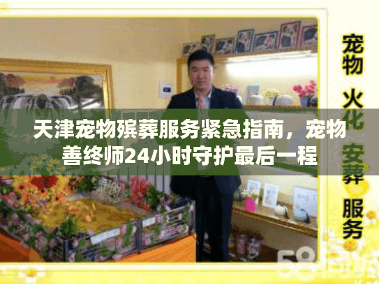 天津宠物殡葬服务紧急指南,宠物善终师24小时守护最后一程 天津宠物殡葬服务紧急指南,宠物善终师24小时守护最后一程