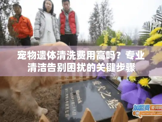 宠物遗体清洗费用高吗?专业清洁告别困扰的关键步骤 宠物遗体清洗费用高吗?专业清洁告别困扰的关键步骤