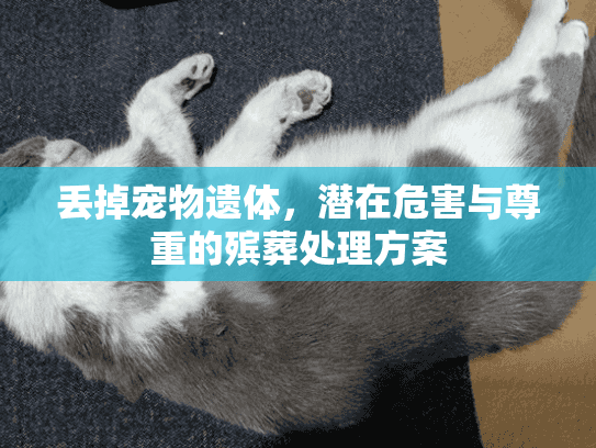 丢掉宠物遗体，潜在危害与尊重的殡葬处理方案