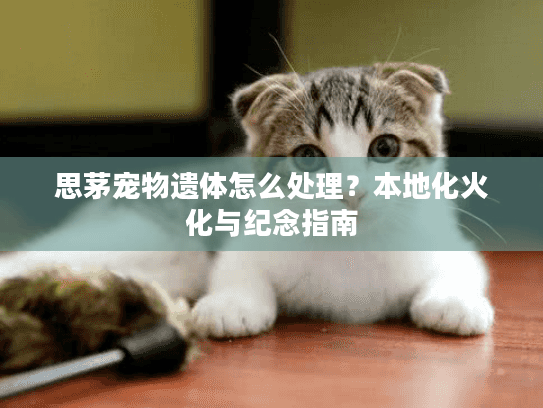 思茅宠物遗体怎么处理?本地化火化与纪念指南 思茅宠物遗体怎么处理?本地化火化与纪念指南
