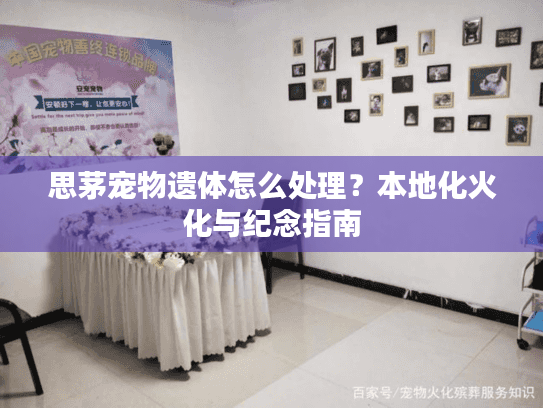 思茅宠物遗体怎么处理?本地化火化与纪念指南 思茅宠物遗体怎么处理?本地化火化与纪念指南