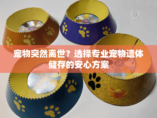 宠物突然离世？选择专业宠物遗体储存的安心方案