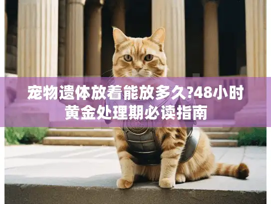 宠物遗体放着能放多久?48小时黄金处理期必读指南