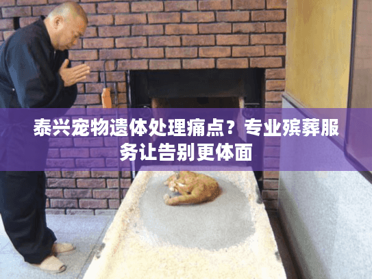 泰兴宠物遗体处理痛点？专业殡葬服务让告别更体面