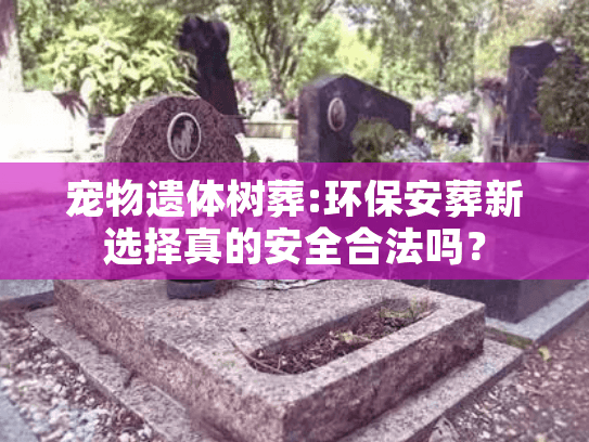 宠物遗体树葬:环保安葬新选择真的安全合法吗? 宠物遗体树葬:环保安葬新选择真的安全合法吗?