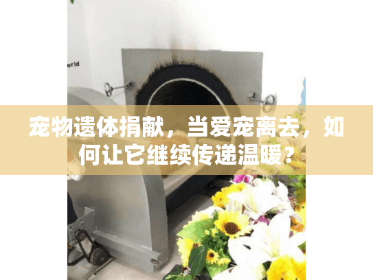 宠物遗体捐献,当爱宠离去,如何让它继续传递温暖? 宠物遗体捐献,当爱宠离去,如何让它继续传递温暖?