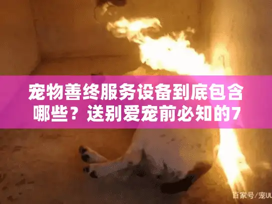 宠物善终服务设备到底包含哪些?送别爱宠前必知的7类设施指南 宠物善终服务设备到底包含哪些?送别爱宠前必知的7类设施指南