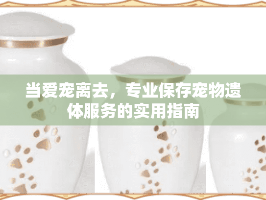 当爱宠离去,专业保存宠物遗体服务的实用指南 当爱宠离去,专业保存宠物遗体服务的实用指南