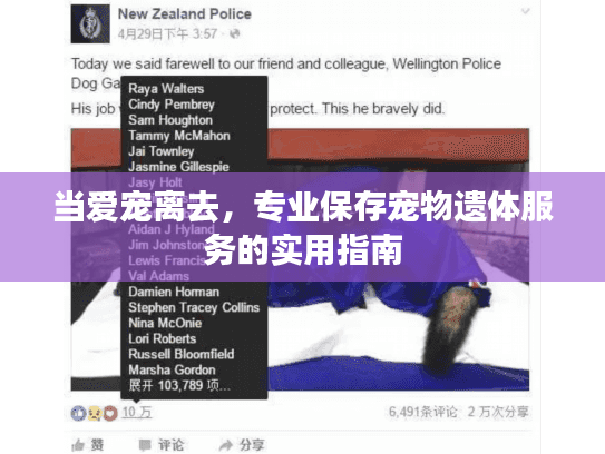 当爱宠离去,专业保存宠物遗体服务的实用指南 当爱宠离去,专业保存宠物遗体服务的实用指南