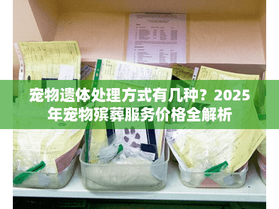 宠物遗体处理方式有几种?2025年宠物殡葬服务价格全解析 宠物遗体处理方式有几种?2025年宠物殡葬服务价格全解析