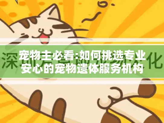 宠物主必看:如何挑选专业安心的宠物遗体服务机构 宠物主必看:如何挑选专业安心的宠物遗体服务机构