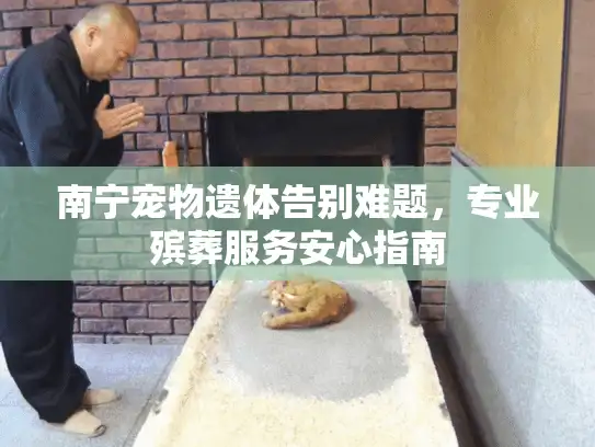 南宁宠物遗体告别难题，专业殡葬服务安心指南