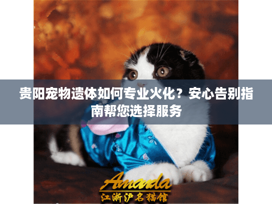 贵阳宠物遗体如何专业火化？安心告别指南帮您选择服务