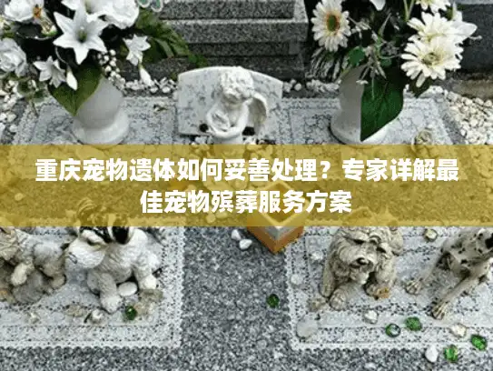 重庆宠物遗体如何妥善处理？专家详解最佳宠物殡葬服务方案
