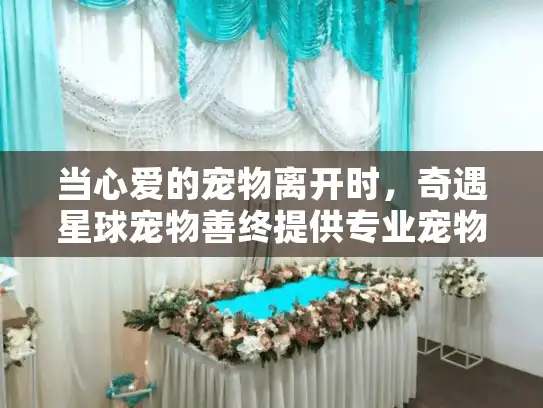 当心爱的宠物离开时，奇遇星球宠物善终提供专业宠物殡葬服务